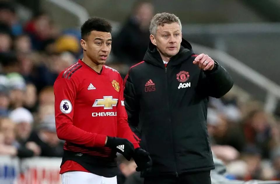 新审视了 新审视了